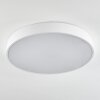 Maho Lampa Sufitowa LED Biały, 1-punktowy