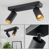 Trutielle Lampa Sufitowa Czarny, 2-punktowe