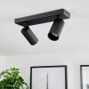 Trutielle Lampa Sufitowa Czarny, 2-punktowe