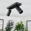 Trutielle Lampa Sufitowa Czarny, 2-punktowe