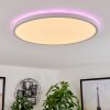 Hortinhas Lampa Sufitowa LED Biały, 1-punktowy, Zdalne sterowanie, Zmieniacz kolorów