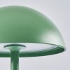 Pelaro Lampa stołowa LED Zielony, 1-punktowy