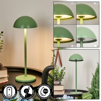 Pelaro Lampa stołowa LED Zielony, 1-punktowy