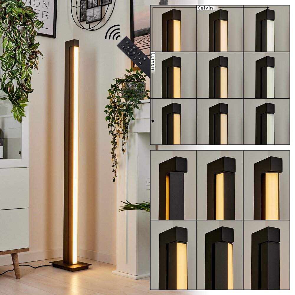 Dubuisson Lampa Stojąca LED Antracytowy, 1-punktowy, Zdalne sterowanie main product photo