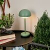 Bellange Lampa stołowa LED Zielony, 1-punktowy