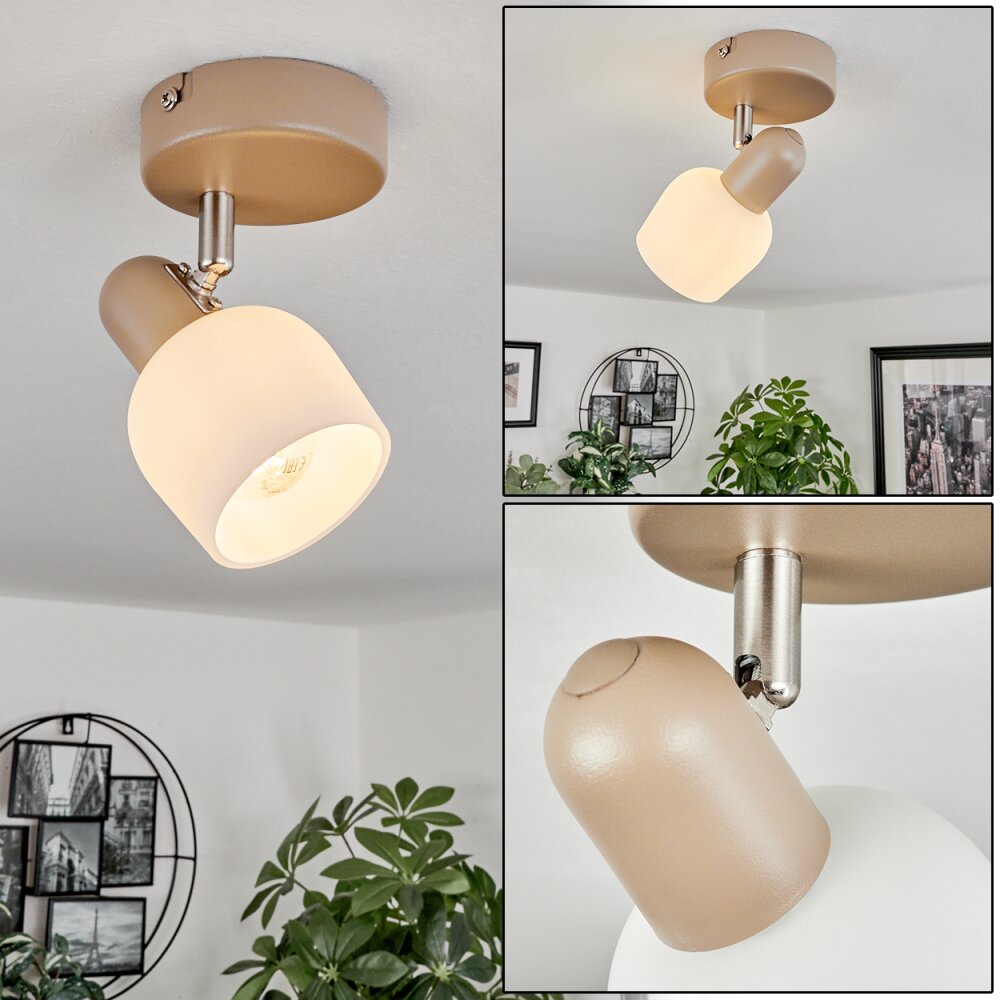 Sivol Lampa Sufitowa Nikiel matowy, Kolory piaskowe, 1-punktowy main product photo