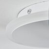 Bina Lampa Sufitowa LED Biały, 1-punktowy, Zdalne sterowanie