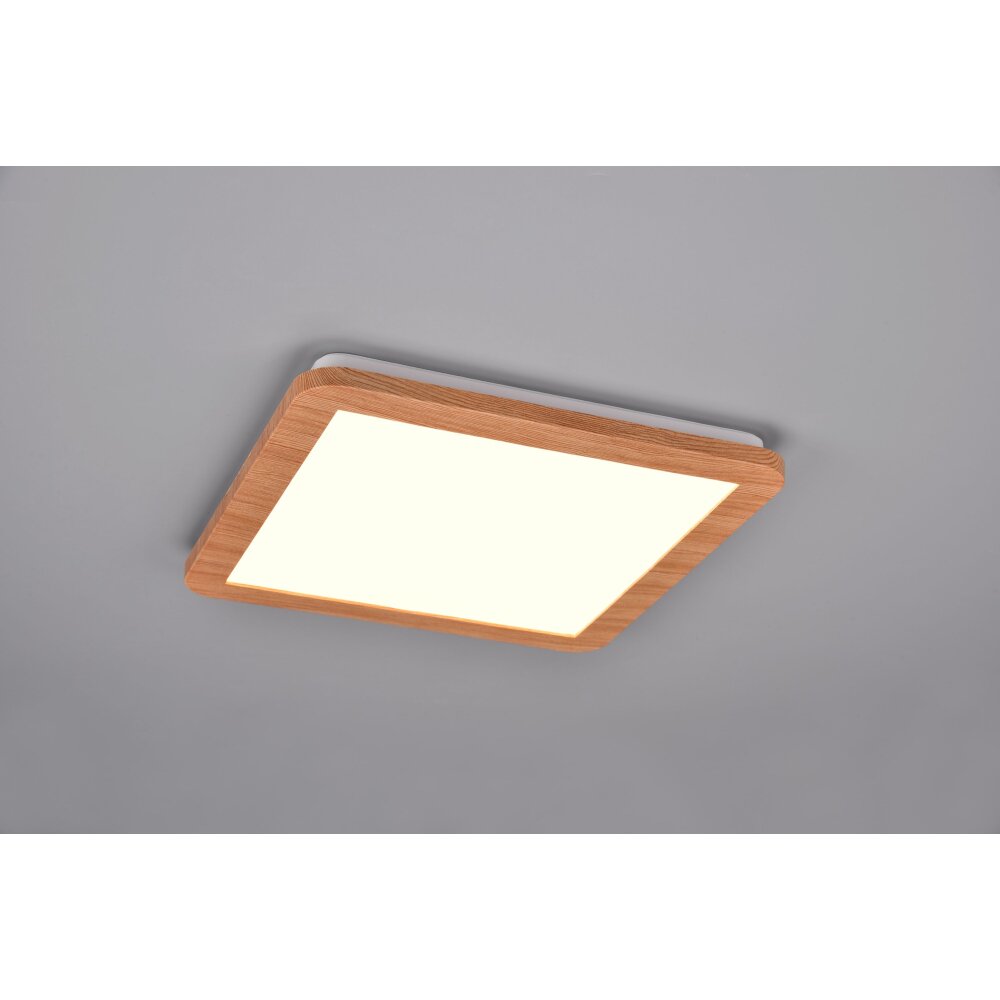 Reality Camillus Lampa Sufitowa LED Wygląd drewna, Biały, 1-punktowy main product photo