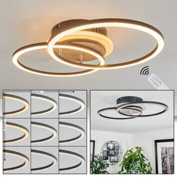 Audouin Lampa Sufitowa LED Wygląd drewna, Czarny, 1-punktowy, Zdalne sterowanie