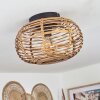 Manteau Lampa Sufitowa Ecru, 1-punktowy