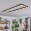 Dubuisson Lampa Sufitowa LED Antracytowy, 1-punktowy, Zdalne sterowanie