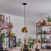 Koyoto Lampa Wisząca Szkło 20 cm Złoty, Czarny, 1-punktowy