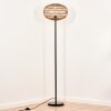 Manteau Lampa Stojąca czarny, 1-punktowy