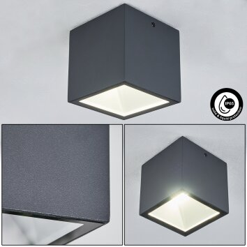 Spidern Lampa Sufitowa zewnętrzna LED Antracytowy, Biały, 1-punktowy