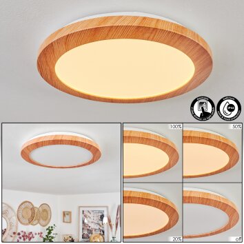 Siguna Lampa Sufitowa LED Wygląd drewna, 1-punktowy