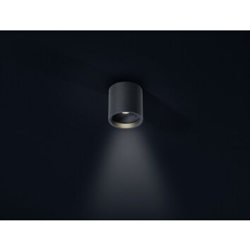 Helestra DORA 1 lampa sufitowa LED Czarny, 1-punktowy