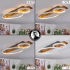 Nevogilde Lampa Sufitowa LED Ecru, 1-punktowy