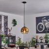 Koyoto Lampa Wisząca Szkło 25 cm Stal szczotkowana, 1-punktowy