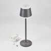 Walt Lampa stołowa LED Antracytowy, 1-punktowy