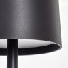 Cajas Lampa stołowa LED Czarny, 1-punktowy