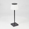 Longchamps Lampa stołowa LED Czarny, 1-punktowy