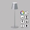 FHL easy Cosenza lampka nocna LED Srebrny, 1-punktowy, Zmieniacz kolorów