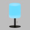 FHL easy Larino lampka nocna LED Antracytowy, 1-punktowy, Zmieniacz kolorów