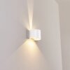 Tamarin Zewnętrzny kinkiet LED Biały, 2-punktowe