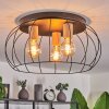 Toklolo Lampa Sufitowa Ecru, 3-punktowe