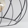 Toklolo Lampa Sufitowa Ecru, 3-punktowe