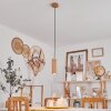Ripamonti Lampa Wisząca Ecru, 1-punktowy