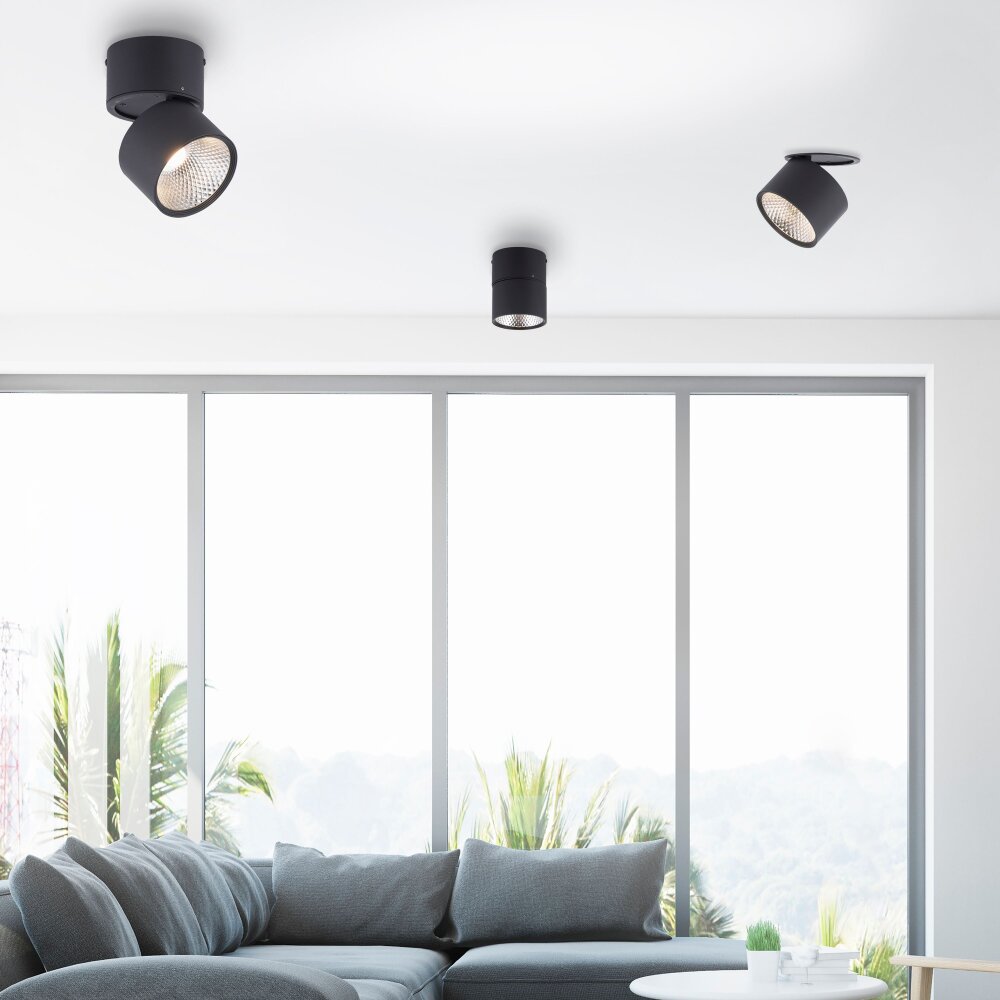 Paul Neuhaus PURE-NOLA Lampa ścienna LED Czarny, 1-punktowy main product photo