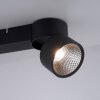 Paul Neuhaus PURE-NOLA Lampa Sufitowa LED Czarny, 2-punktowe