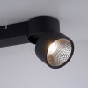 Paul Neuhaus PURE-NOLA Lampa Sufitowa LED Czarny, 2-punktowe Paul Neuhaus PURE-NOLA Lampa Sufitowa LED Czarny, 2-punktowe