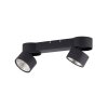 Paul Neuhaus PURE-NOLA Lampa Sufitowa LED Czarny, 2-punktowe Paul Neuhaus PURE-NOLA Lampa Sufitowa LED Czarny, 2-punktowe