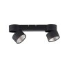 Paul Neuhaus PURE-NOLA Lampa Sufitowa LED Czarny, 2-punktowe Paul Neuhaus PURE-NOLA Lampa Sufitowa LED Czarny, 2-punktowe