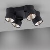 Paul Neuhaus PURE-NOLA Lampa Sufitowa LED Czarny, 4-punktowe