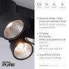 Paul Neuhaus PURE-NOLA Lampa Sufitowa LED Czarny, 4-punktowe