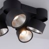Paul Neuhaus PURE-NOLA Lampa Sufitowa LED Czarny, 4-punktowe