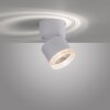 Paul Neuhaus PURE-NOLA Lampa ścienna LED Biały, 1-punktowy