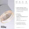 Paul Neuhaus PURE-NOLA Lampa Sufitowa LED Biały, 4-punktowe