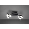 Fischer & Honsel Ray Lampa Sufitowa LED Czarny, 2-punktowe