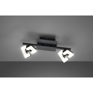 Fischer & Honsel Ray Lampa Sufitowa LED Czarny, 2-punktowe