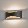 Fischer & Honsel Rio Lampa ścienna LED czarny, 1-punktowy