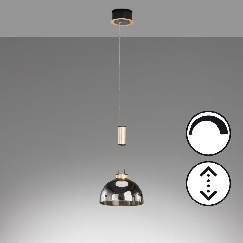 Fischer & Honsel Avignon Lampa Wisząca LED Czarny, 1-punktowy main product photo