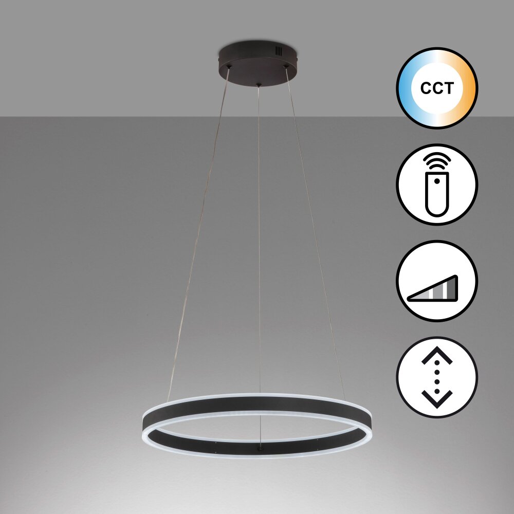 Fischer & Honsel Sirko Lampa Wisząca LED Czarny, 1-punktowy, Zdalne sterowanie main product photo