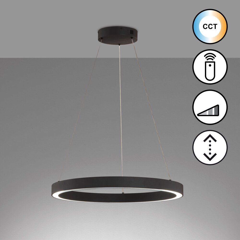 Fischer & Honsel Sirko Lampa Wisząca LED Czarny, 1-punktowy, Zdalne sterowanie main product photo