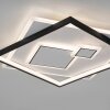 Paul Neuhaus MAILAK Lampa Sufitowa LED Czarny, Biały, 2-punktowe