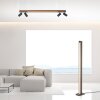 Paul Neuhaus PURE-LINES Lampa Sufitowa LED Antracytowy, Ciemne drewno, 5-punktowe, Zdalne sterowanie