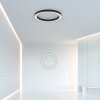 Paul Neuhaus PURE-LINES Lampa Sufitowa LED Antracytowy, 1-punktowy, Zdalne sterowanie